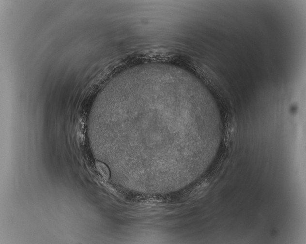 X0000115311010200911161716