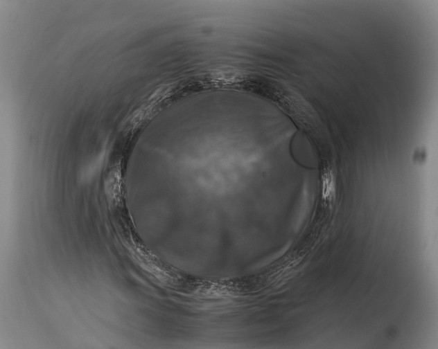 X0000115311011200911161716