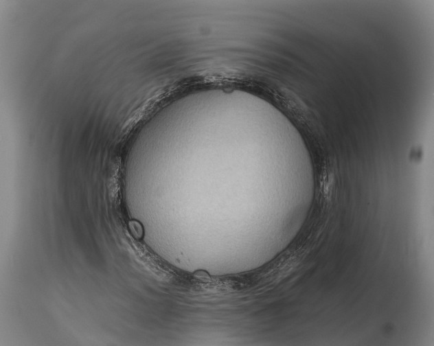 X0000115311012200911161716