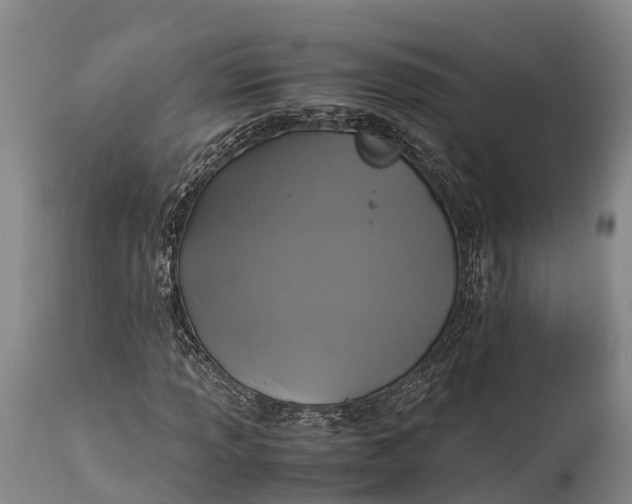 X0000115311013200911161716