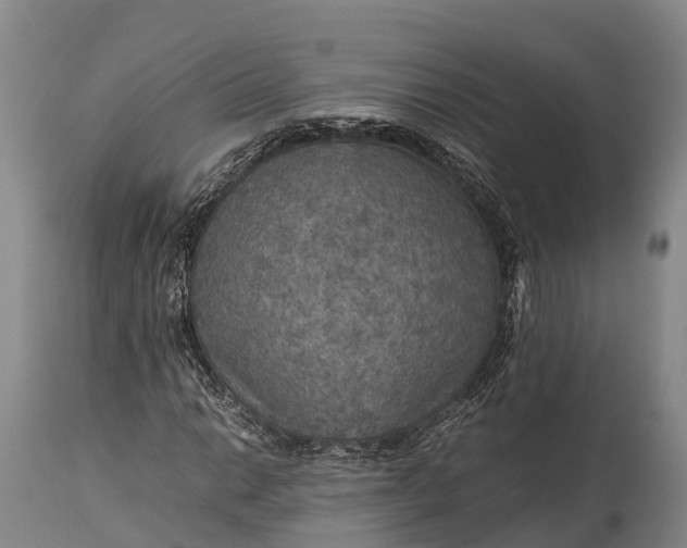 X0000115311014200911161716