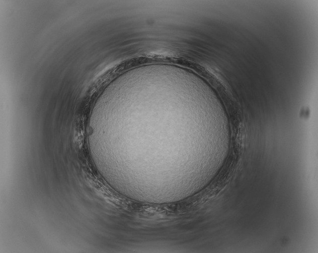 X0000115311015200911161716