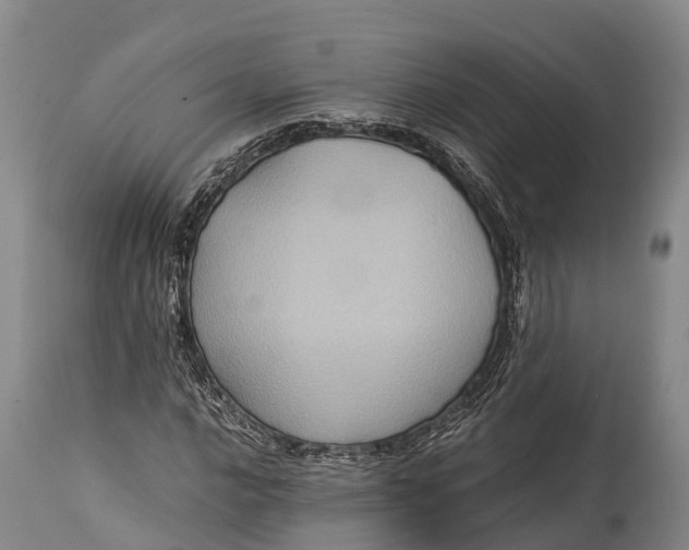 X0000115311016200911161716