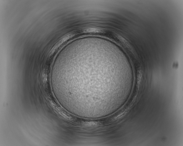 X0000115311017200911161716