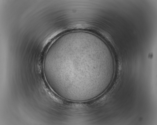 X0000115311018200911161716