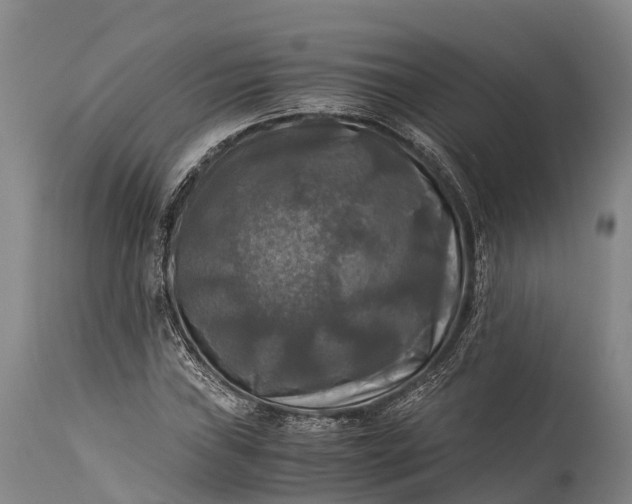 X0000115311019200911161716