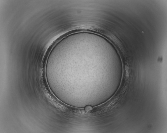 X0000115311020200911161716