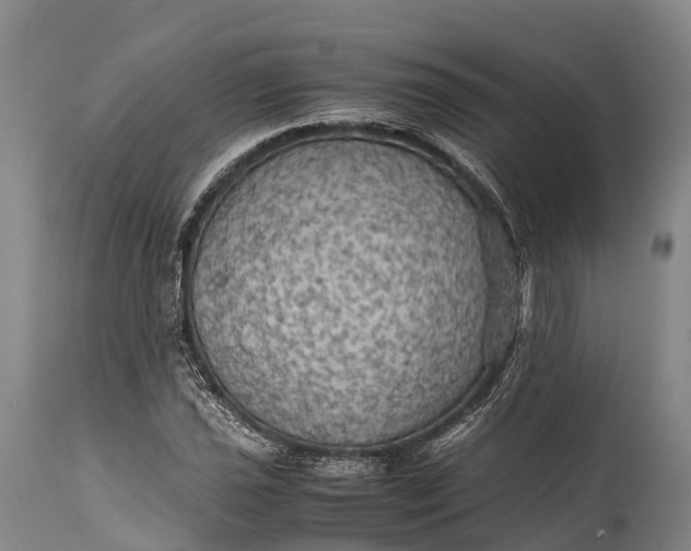 X0000115311021200911161716