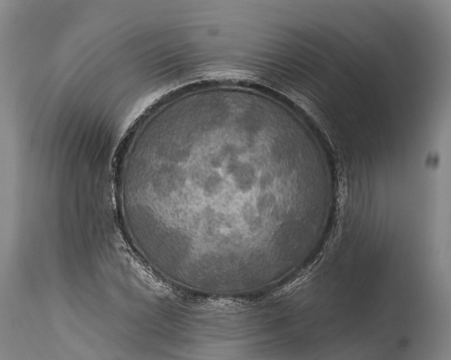 X0000115311022200911161716