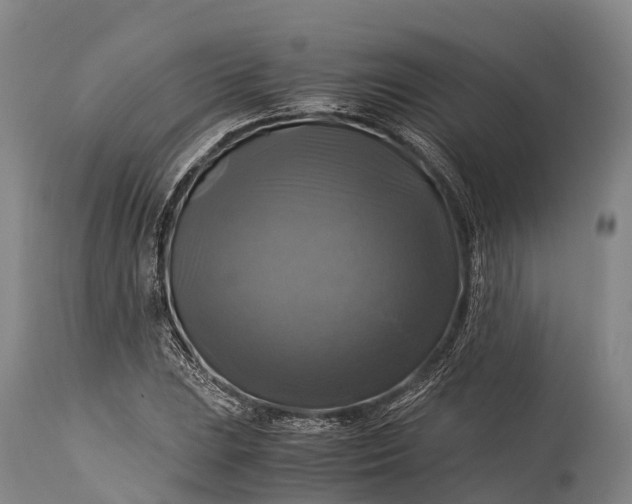 X0000115311023200911161716