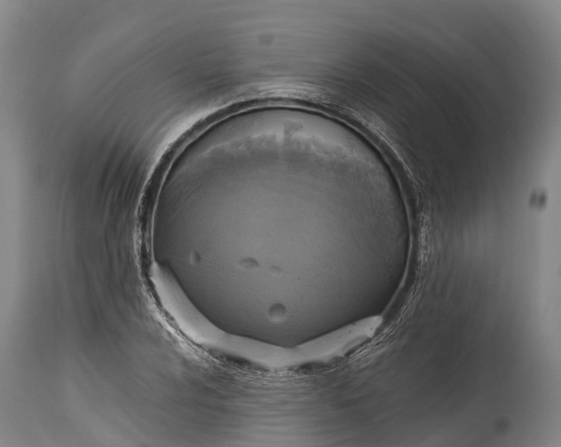 X0000115311024200911161716