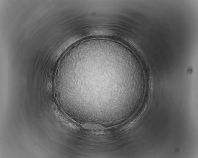 X0000115311025200911161716