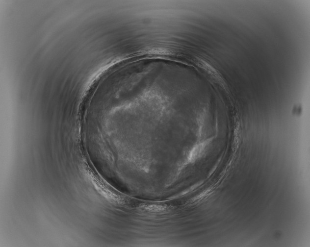 X0000115311027200911161716