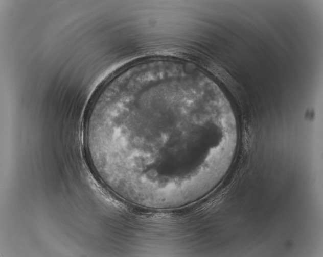 X0000115311028200911161716