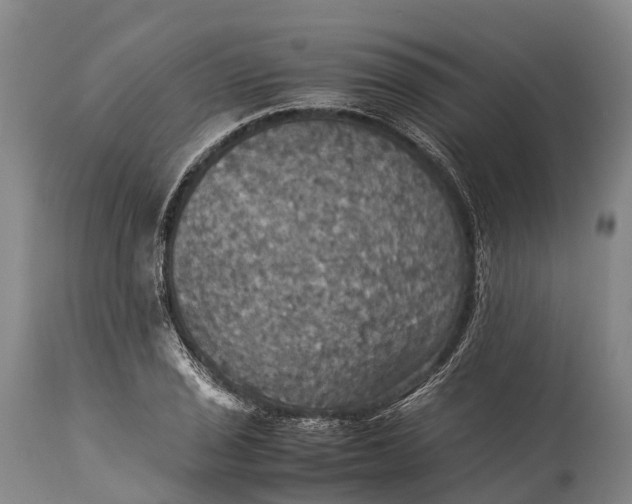 X0000115311029200911161716