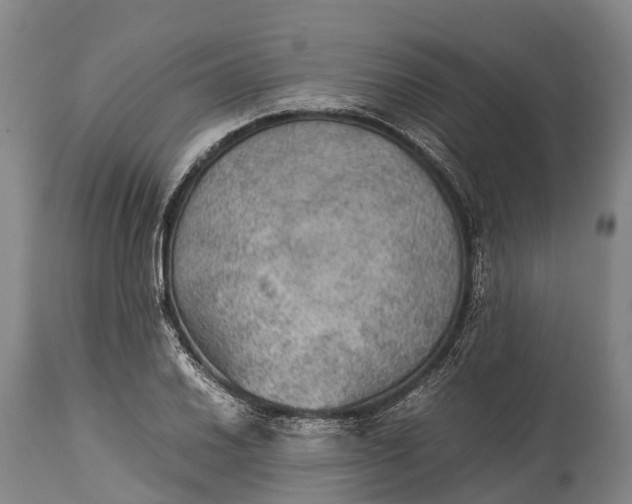 X0000115311030200911161716