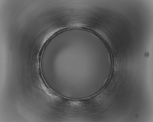 X0000115311031200911161716