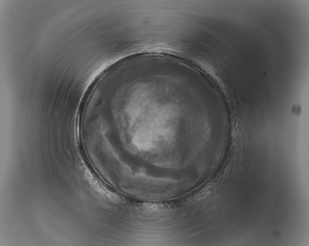 X0000115311032200911161716