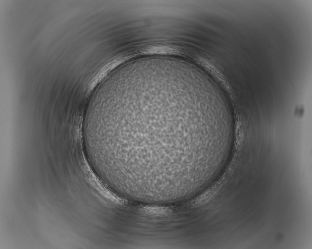 X0000115311033200911161716