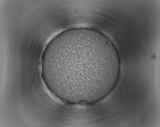 X0000115311034200911161716