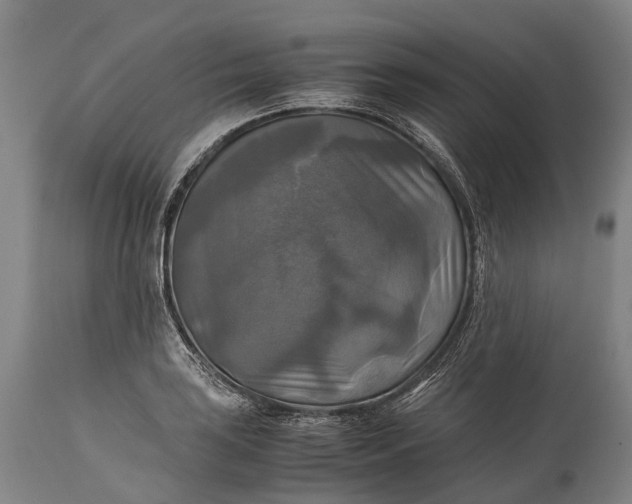 X0000115311035200911161716