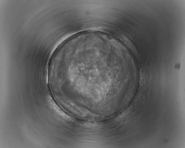 X0000115311036200911161716