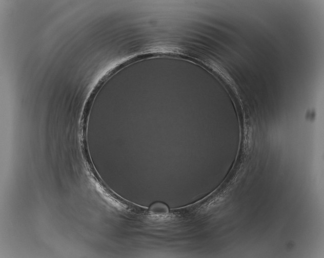 X0000115311037200911161716