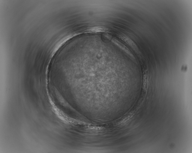 X0000115311039200911161716