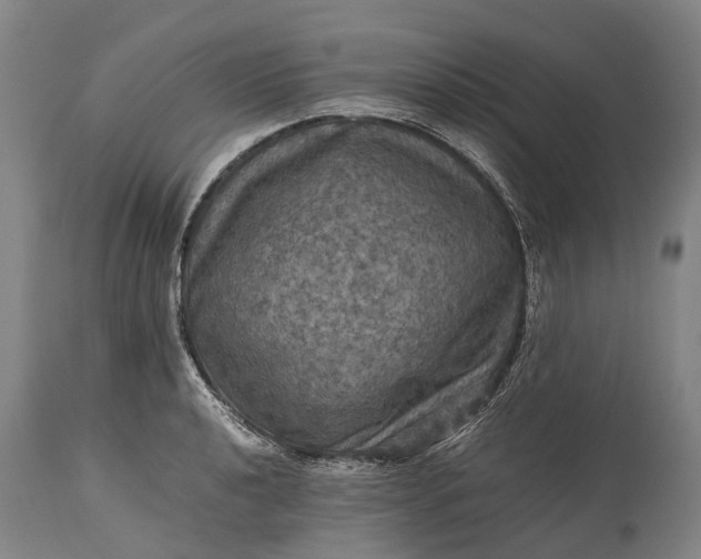 X0000115311040200911161716