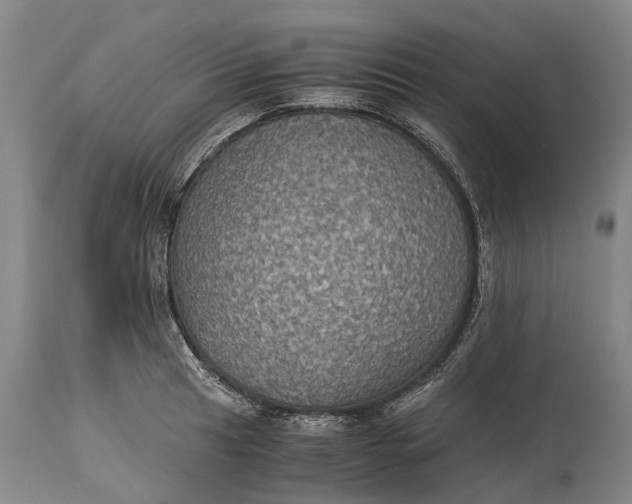 X0000115311041200911161716