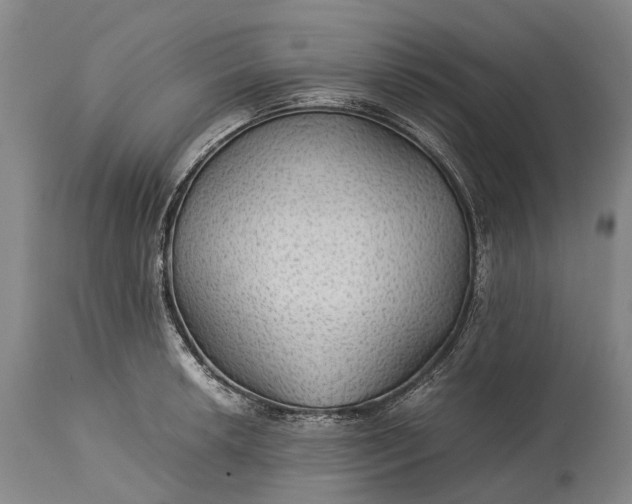 X0000115311042200911161716