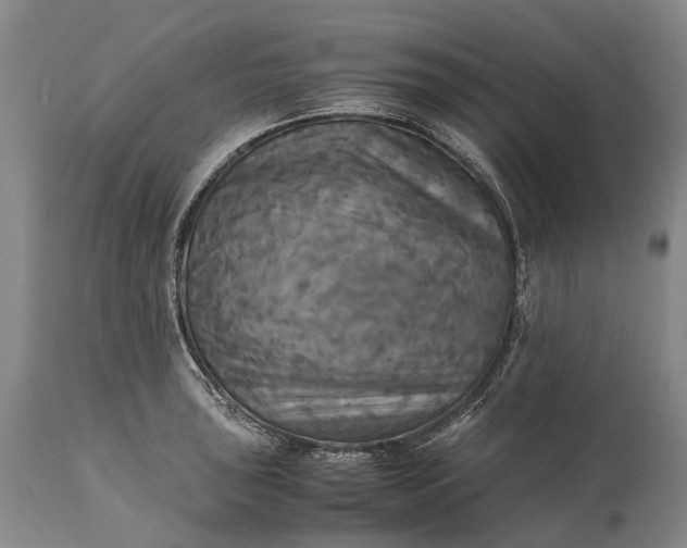 X0000115311043200911161716