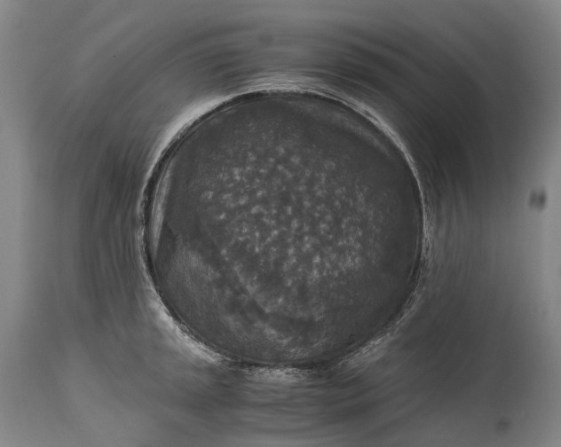 X0000115311045200911161716