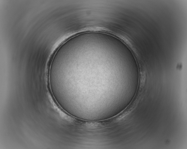 X0000115311046200911161716