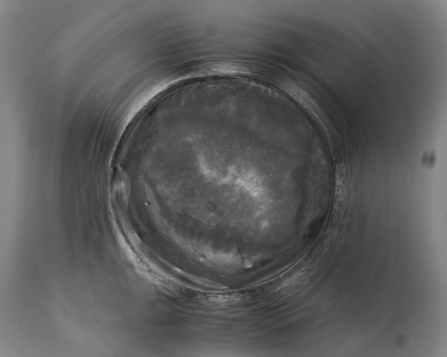 X0000115311047200911161716