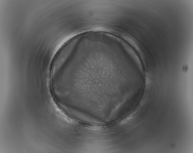 X0000115311048200911161716