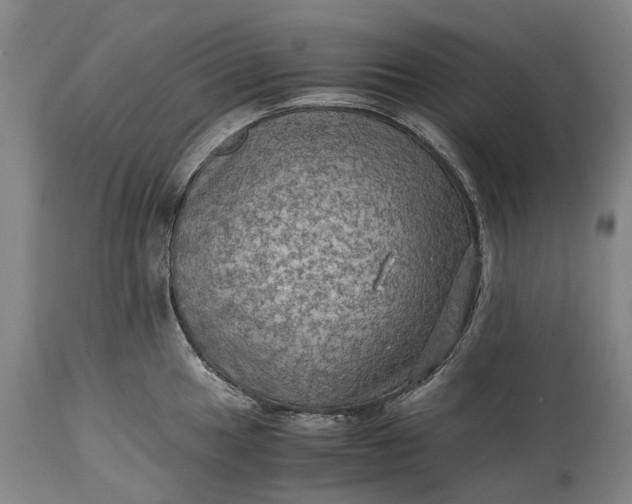 X0000115311049200911161716