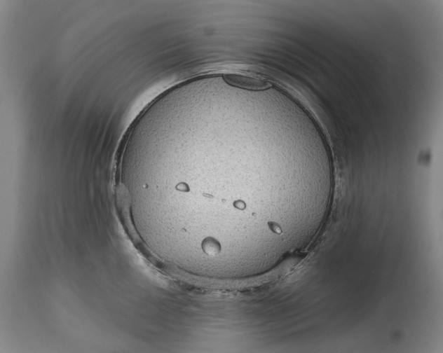 X0000115311050200911161717