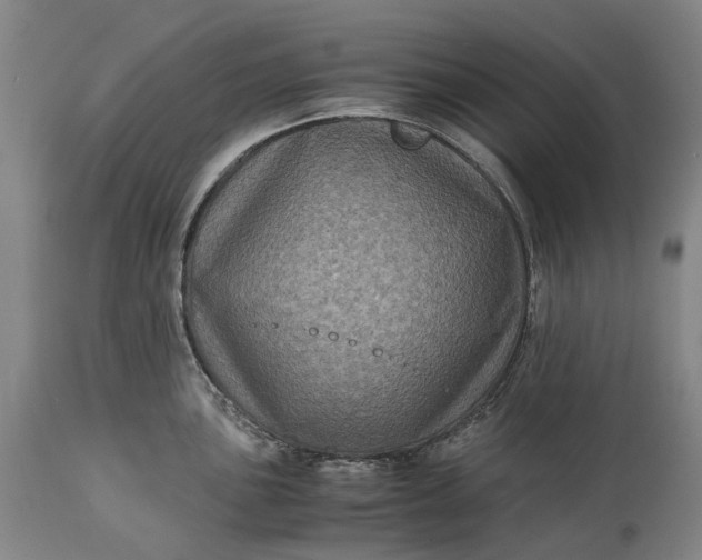 X0000115311051200911161717