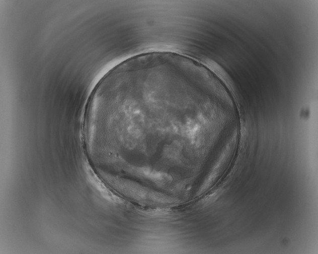 X0000115311052200911161717