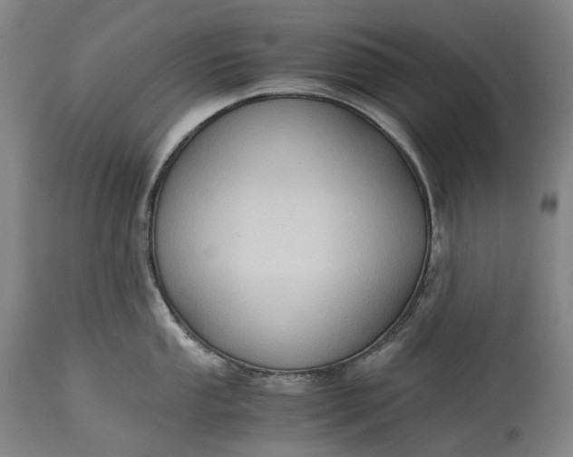 X0000115311053200911161717