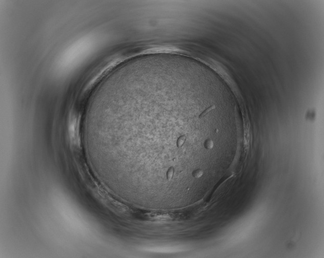 X0000115311054200911161717