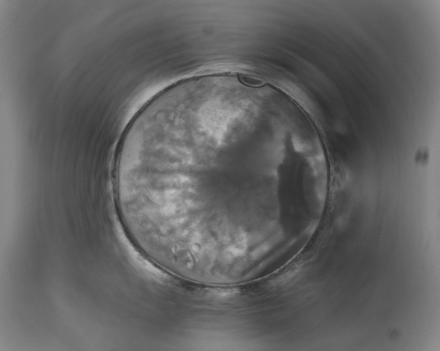 X0000115311055200911161717