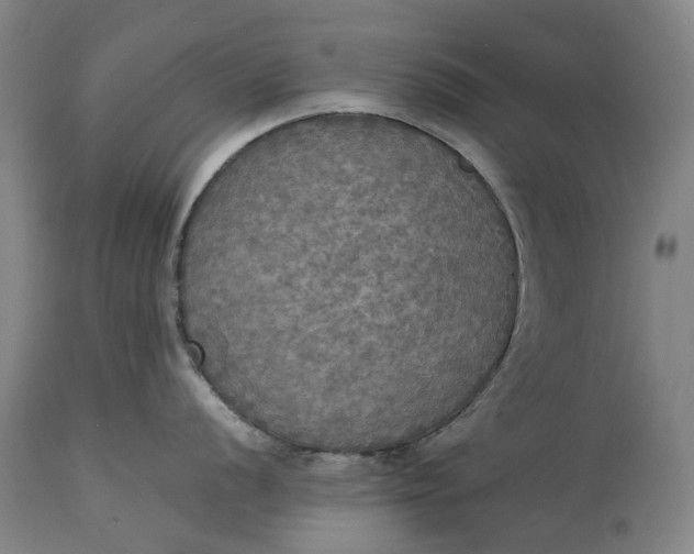 X0000115311056200911161717