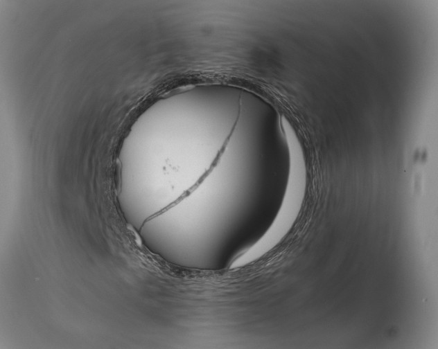 X0000115311057200911161716