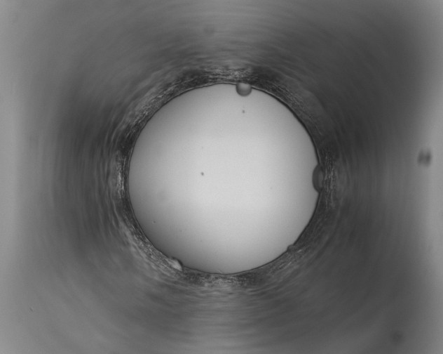 X0000115311058200911161716