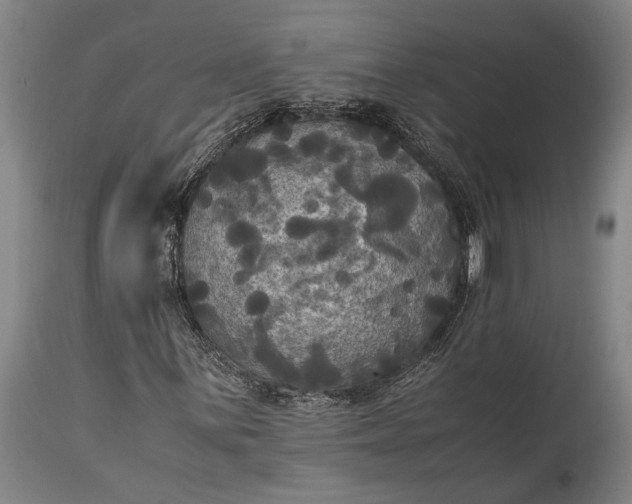 X0000115311059200911161716