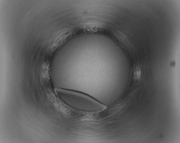 X0000115311060200911161716