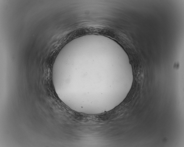 X0000115311061200911161716