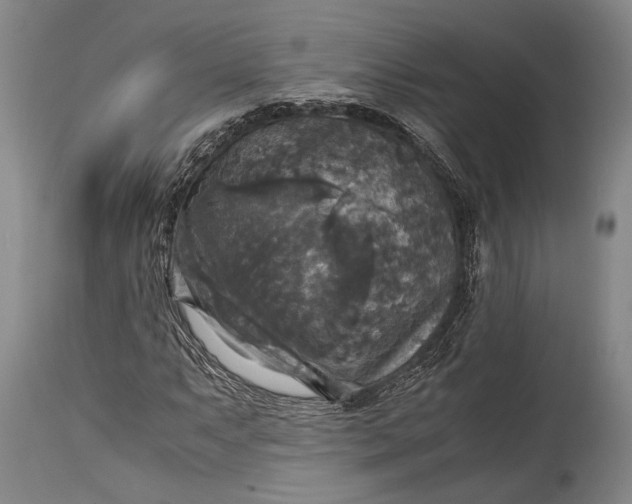 X0000115311063200911161716